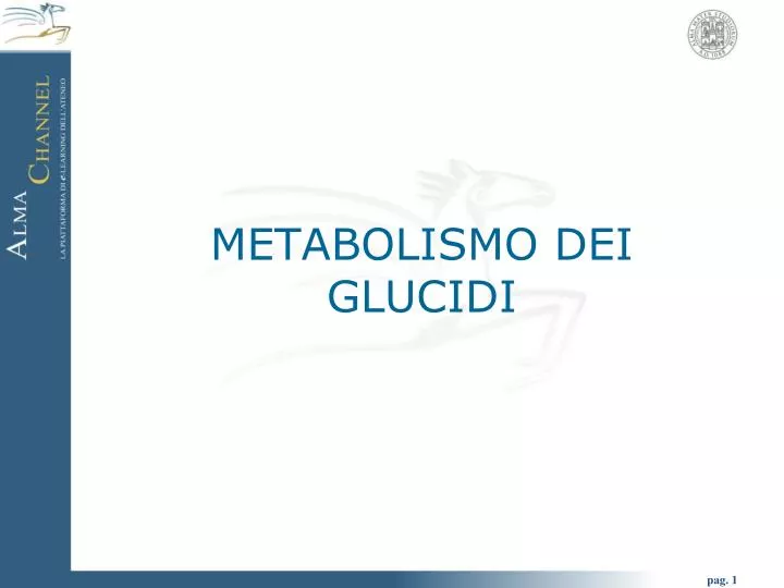 metabolismo dei glucidi n.