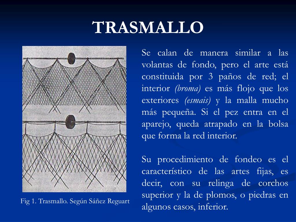PPT - SISTEMA DE PESCA TRASMALLO PowerPoint Presentation, free download -  ID:5749966