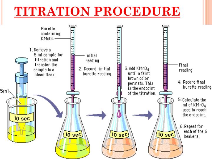 PPT ENZYME CATALYSIS LAB PowerPoint Presentation ID5750147