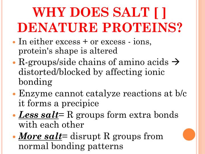 PPT ENZYME CATALYSIS LAB PowerPoint Presentation ID5750147