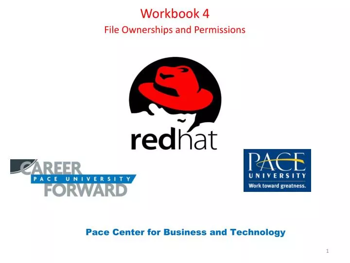 workbook 4 file ownerships and permissions n.