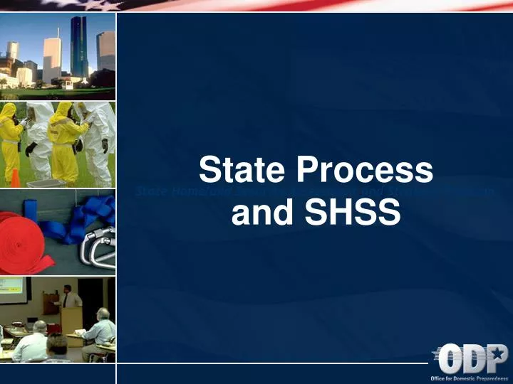 state process and shss n.