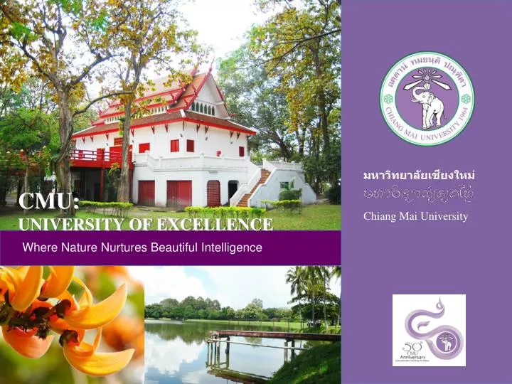 PPT - มหาวิทยาลัยเชียงใหม่ Chiang Mai University PowerPoint ...