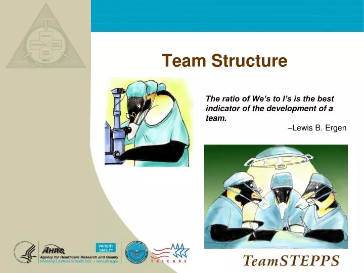 team structure n.