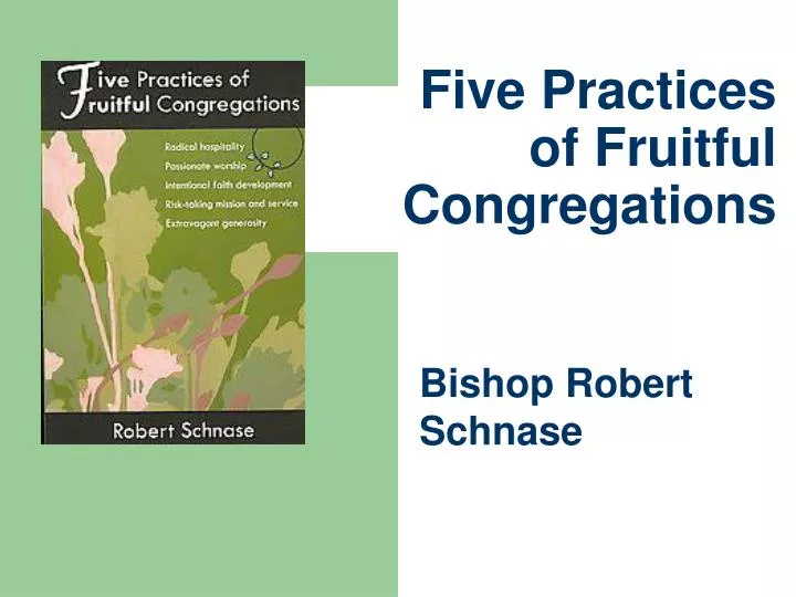 five practices of fruitful congregations n.