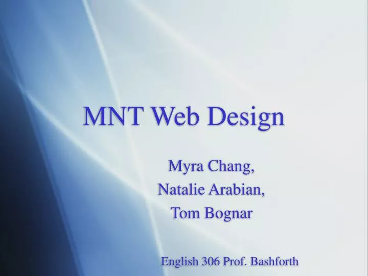 mnt web design n.