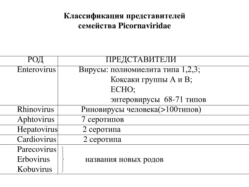 Представители классификации. Классификация семейства пикорнавирусов. Пикорнавирусы классификация микробиология. Классификация пикорнавирусов, энтеровирусов.. Классификация вирусов семейства Picornaviridae.