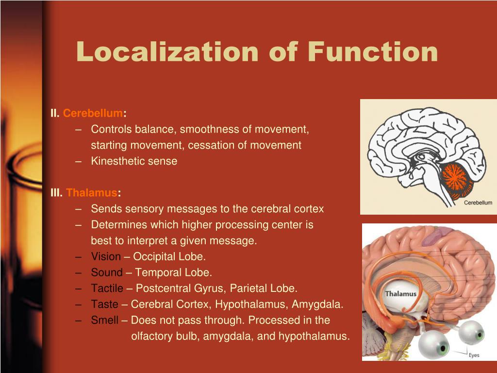 localisation of function case study