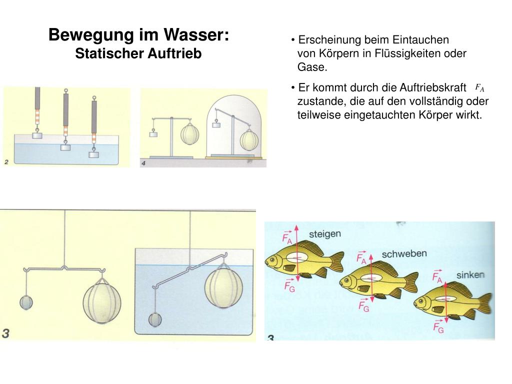 PPT - Themenfeld 3: Bewegung zu Wasser, zu Lande und in der Luft PowerPoint  Presentation - ID:5755555