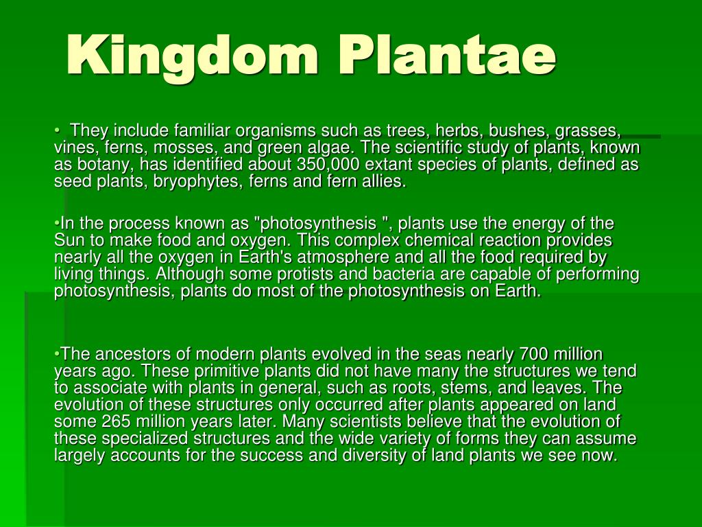 Plantae Definition plantae-definition