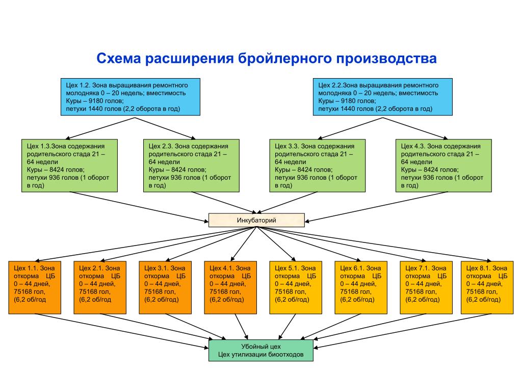 Организационная структура птицефабрики схема