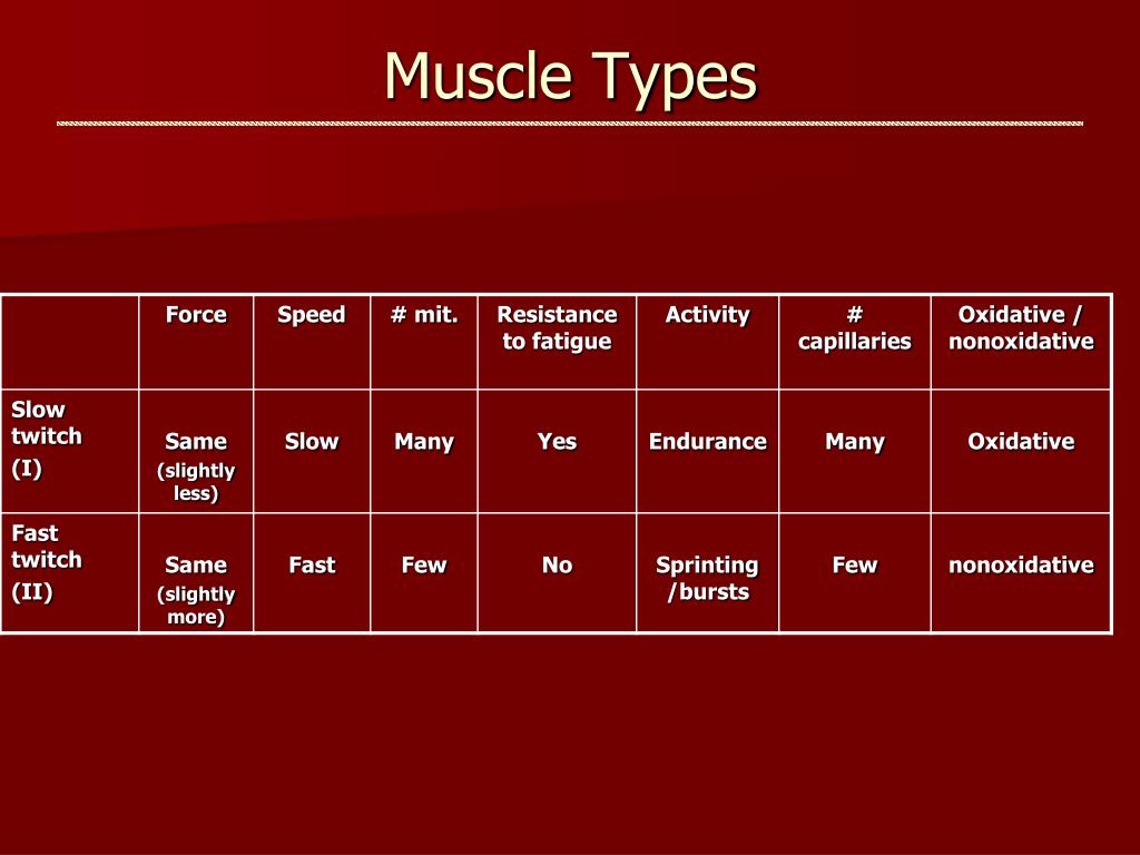 PPT - Applied Exercise Physiology PowerPoint Presentation, free