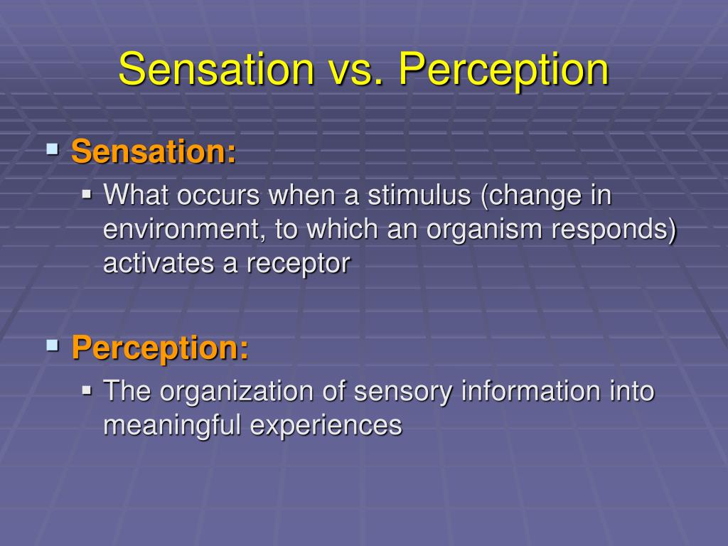 sensation vs perception definition sensation vs perception definition