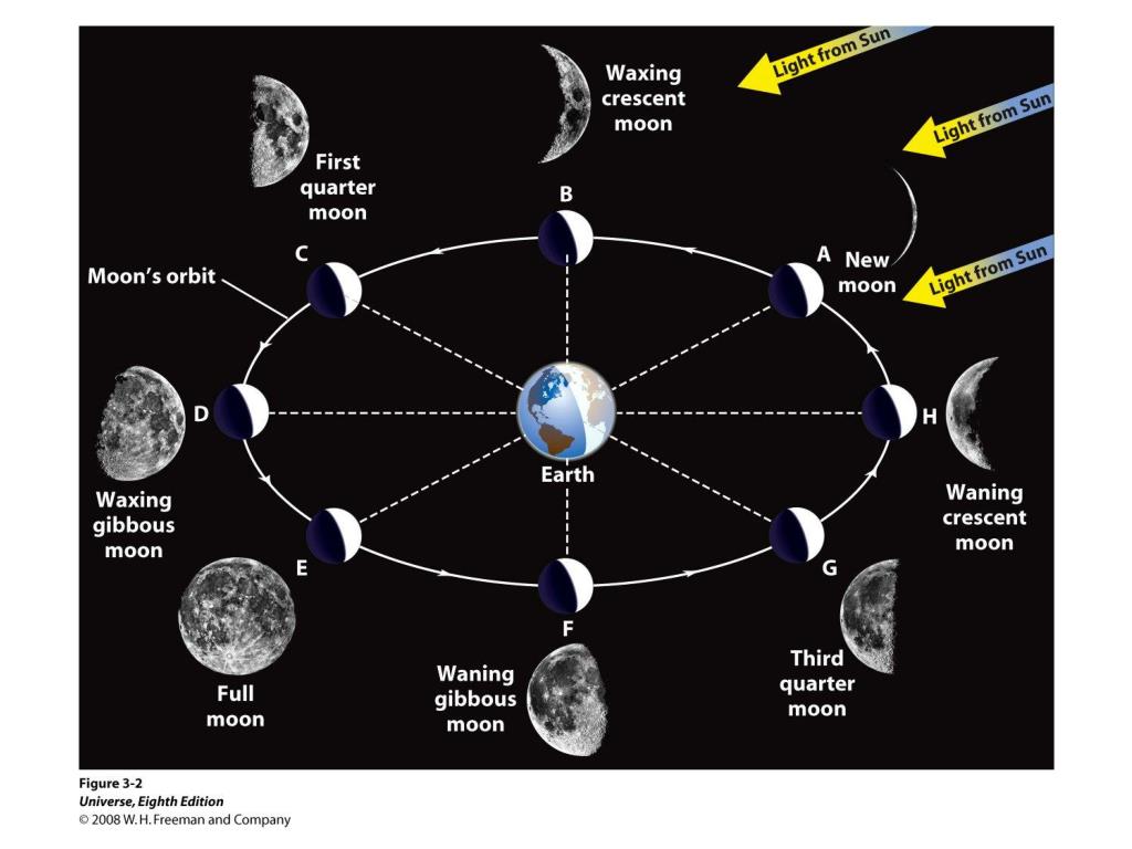 Цикл луны март 2024. Цикл Луны. Цикл полнолуния. First Quarter Луна. Цикл Луны картинки.