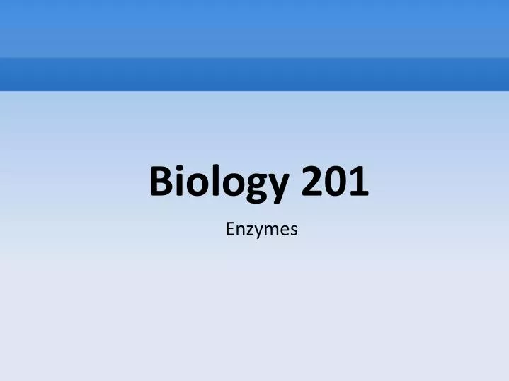 biology 201 enzymes n.