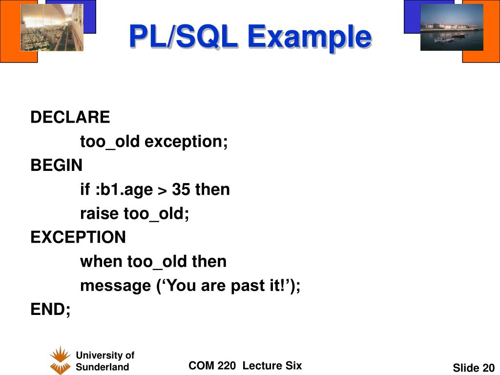 Oracle plsql exception handling examples to raise user