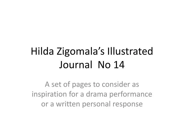 hilda zigomala s illustrated journal no 14 n.