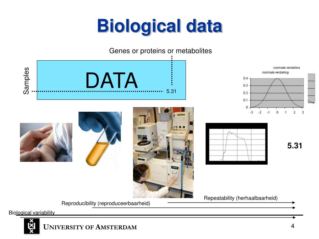 data presentation in biology