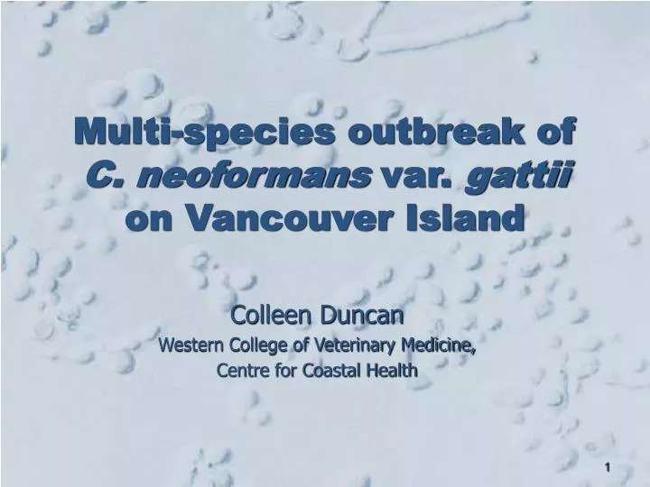 multi species outbreak of c neoformans var gattii on vancouver island n.