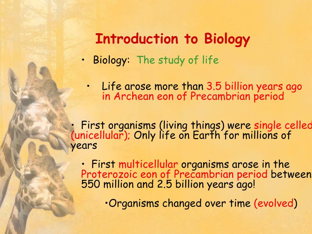 section 1 introduction to biology