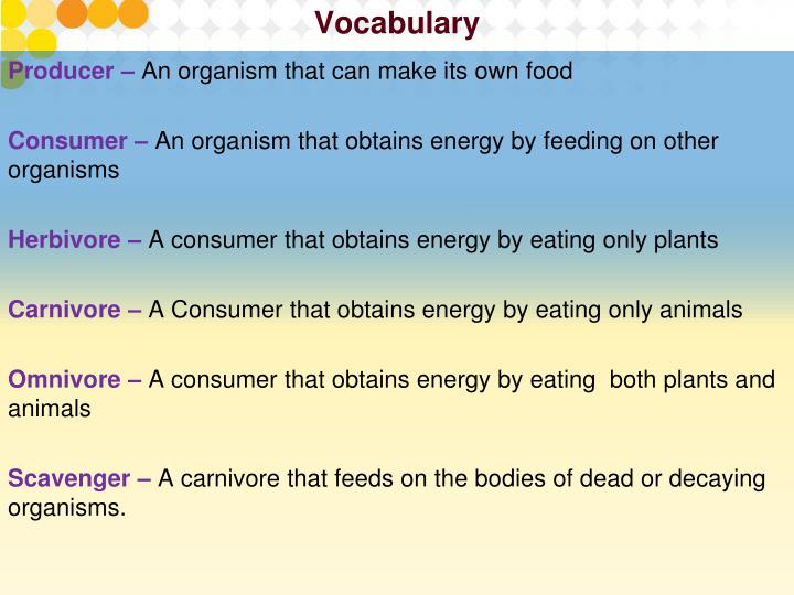 PPT 14. 2 Energy Flow In Ecosystems Essential Question
