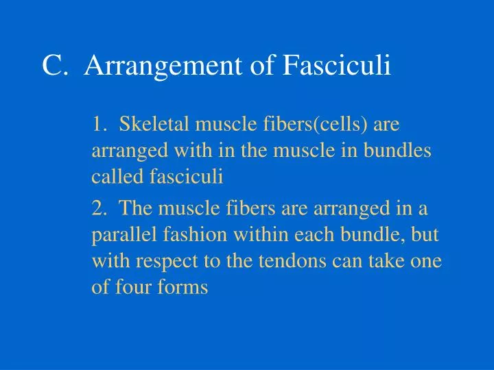 c arrangement of fasciculi n.