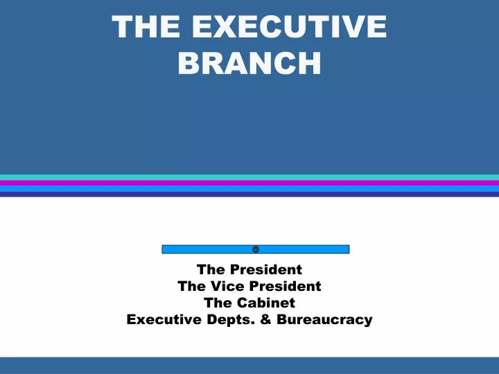 the executive branch n.