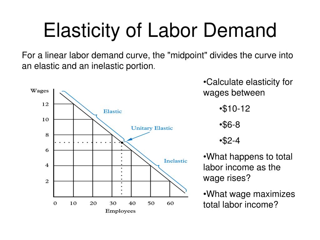 PPT Chapter 4. Labor Demand Elasticities. PowerPoint Presentation, free download ID5762345