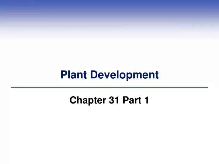 plant development n.