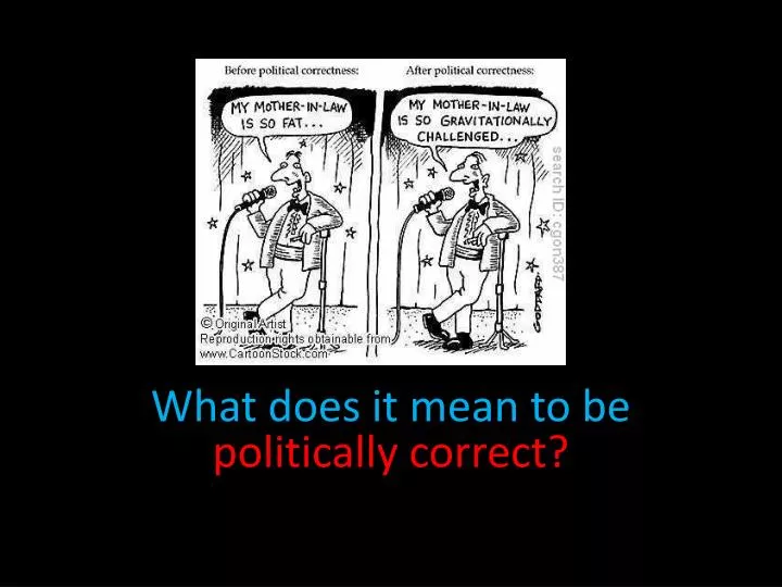 what does it mean to be politically correct n.