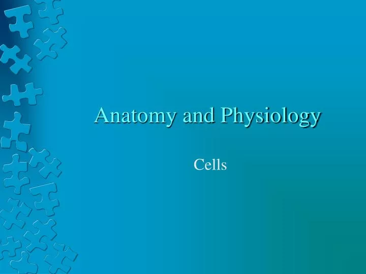 anatomy and physiology n.