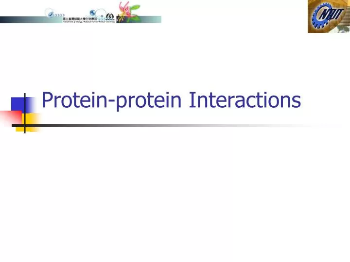 protein protein interactions n.