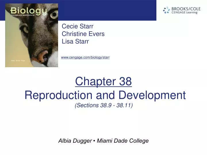 chapter 38 reproduction and development sections 38 9 38 11 n.