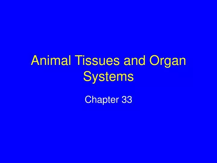 animal tissues and organ systems n.