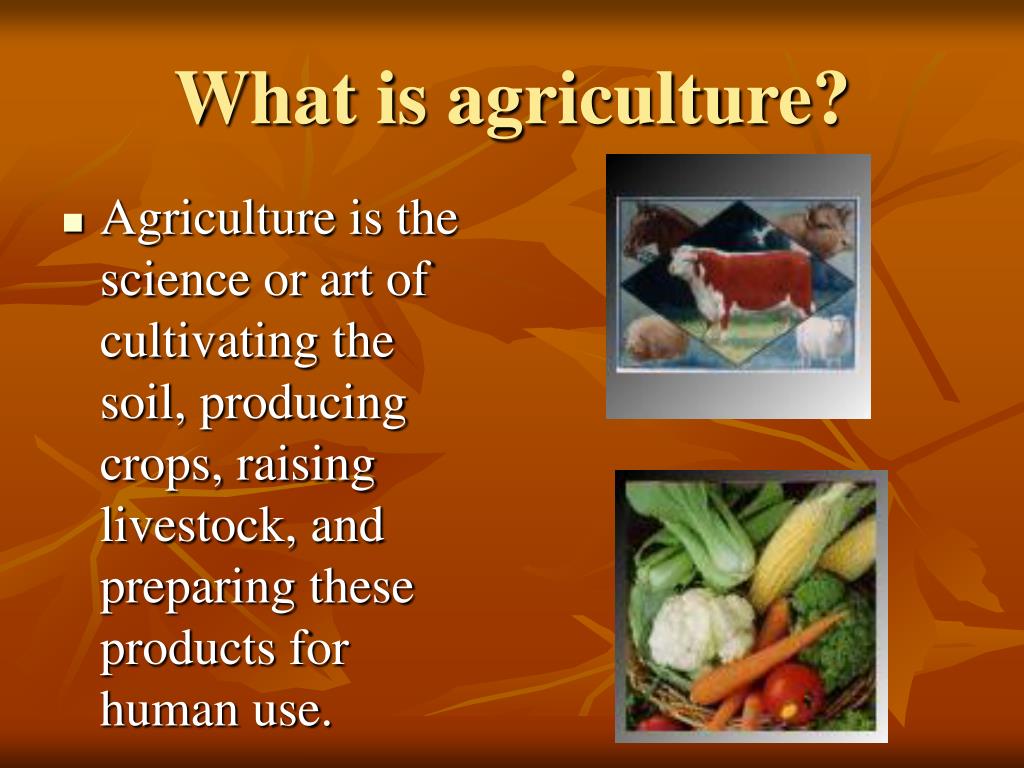 Agriculture Definition In English