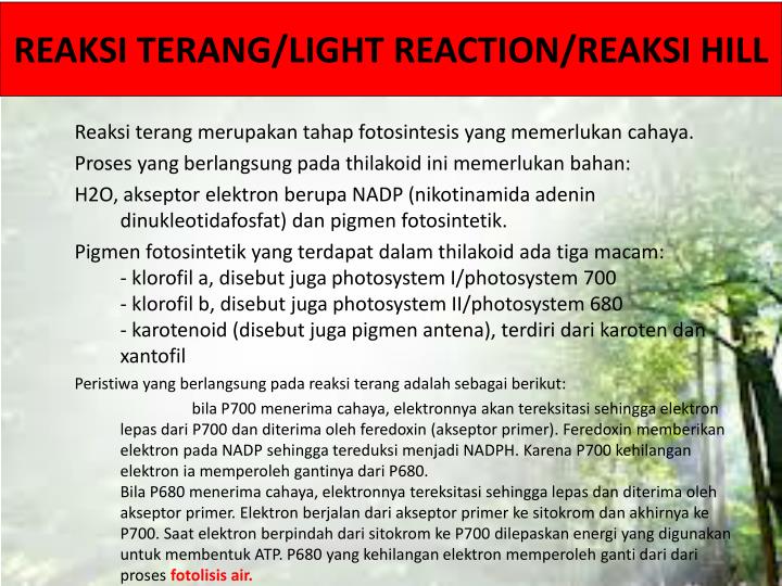 PPT - ANABOLISME PowerPoint Presentation - ID:5764718 PPT - ANABOLISME PowerPoint Presentation - ID:5764718