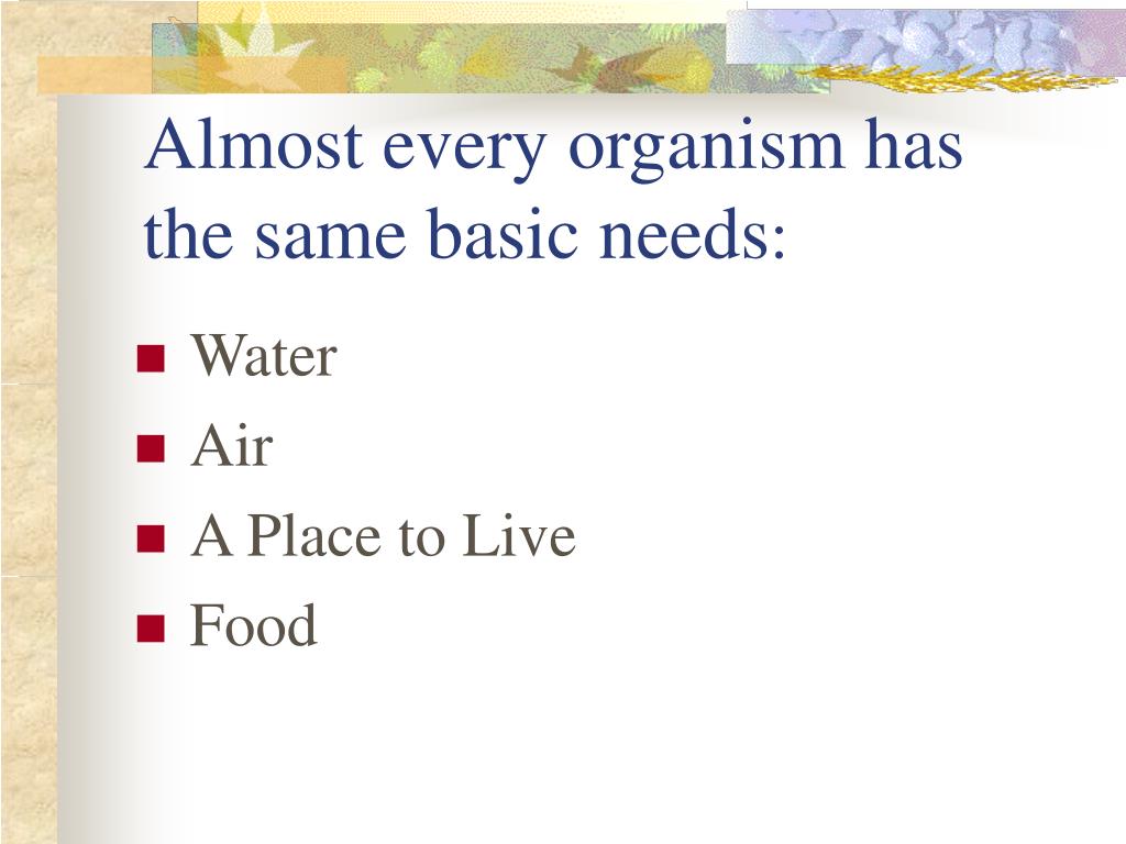 PPT The Necessities of Life PowerPoint Presentation, free download ID5765876