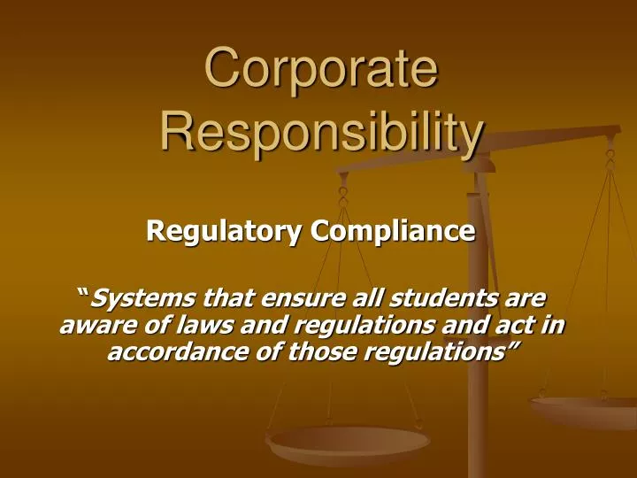 corporate responsibility n.