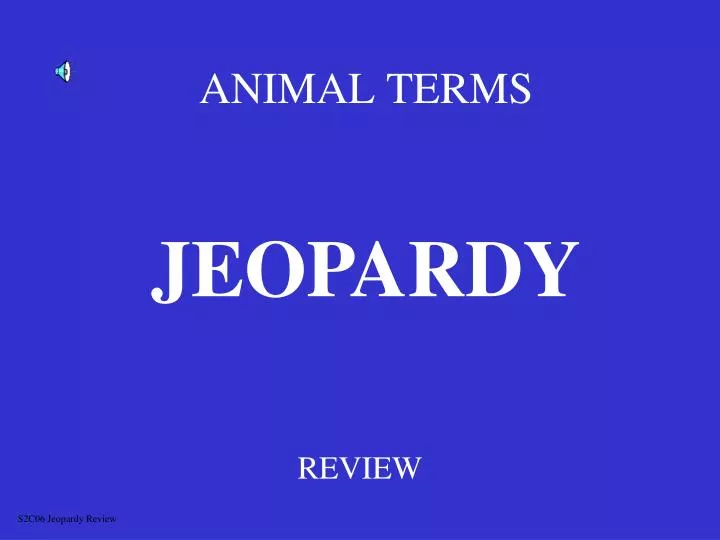 animal terms n.