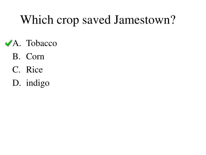 which crop saved jamestown n.