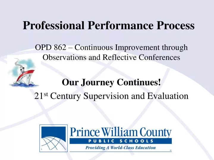 professional performance process n.