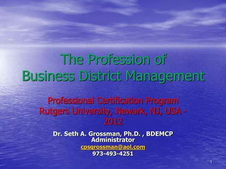 the profession of business district management n.