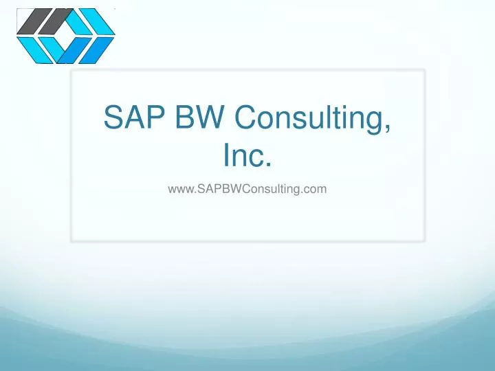 sap bw consulting inc n.
