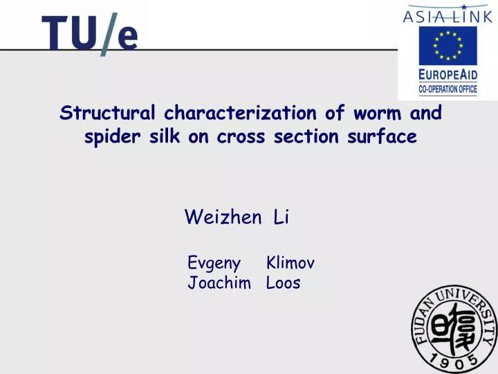 structural characterization of worm and spider silk on cross section surface n.