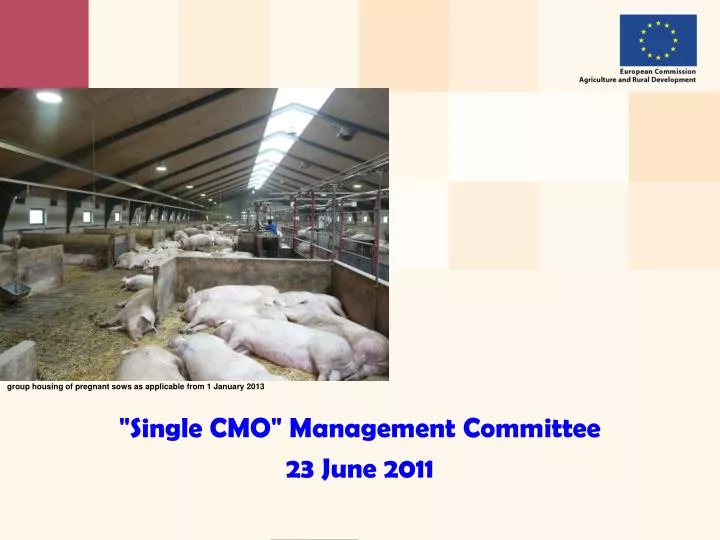 single cmo management committee 23 june 2011 n.