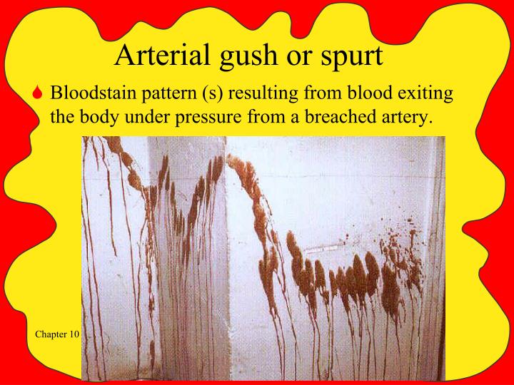 PPT - Blood Spatter Analysis PowerPoint Presentation - ID:5768894