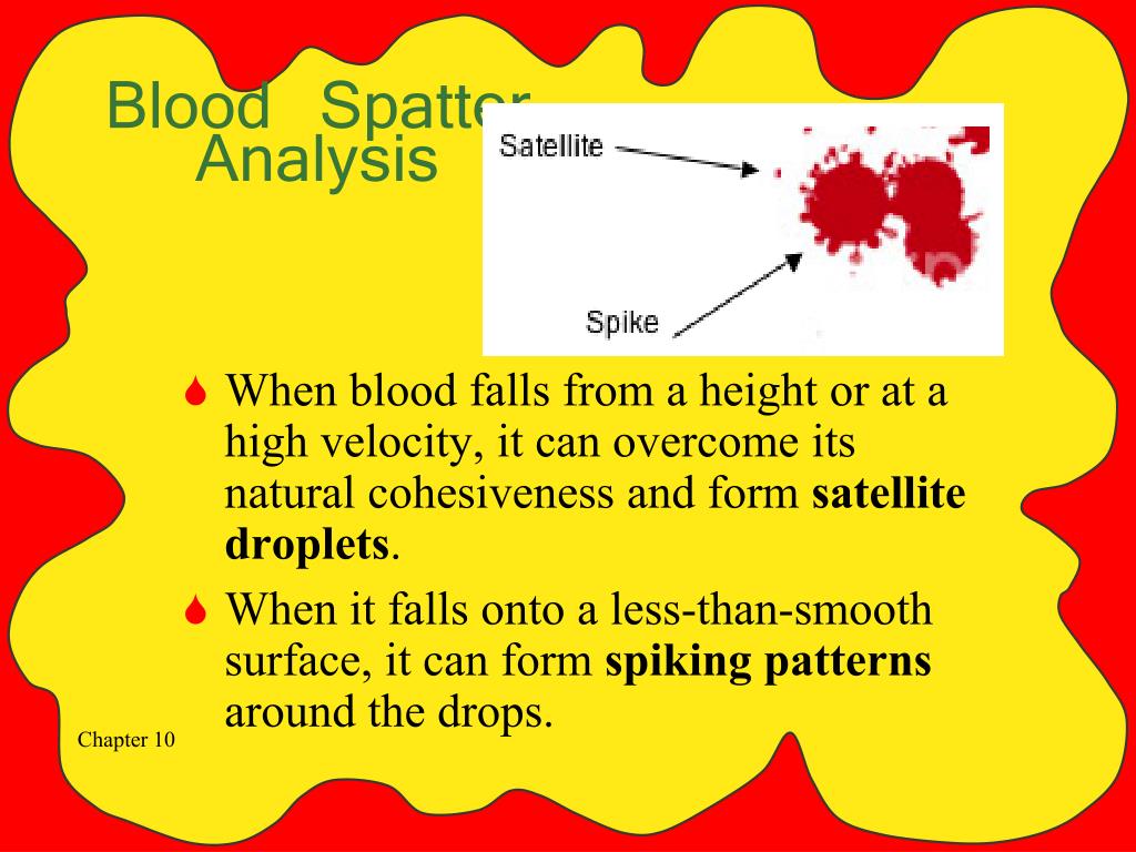 PPT - Blood Spatter Analysis PowerPoint Presentation, free download