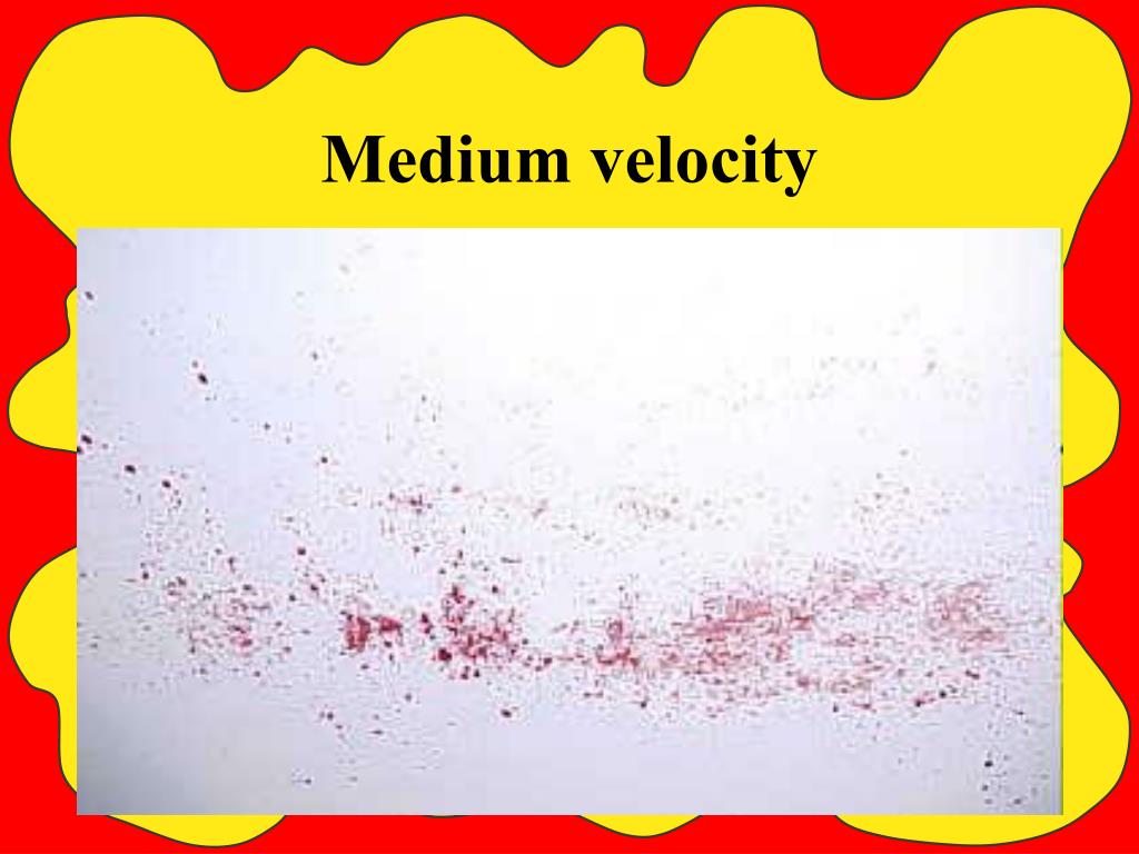 PPT - Blood Spatter Analysis PowerPoint Presentation, free download