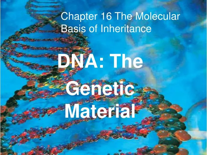 dna the genetic material n.