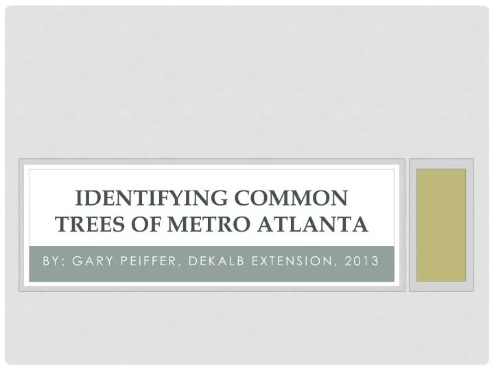 identifying common trees of metro atlanta n.